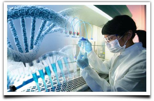 Du học Anh – Cử nhân Sinh học Ứng dụng – Northumbria University Newcastle